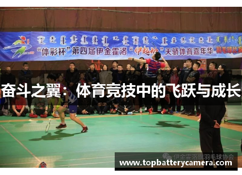 奋斗之翼：体育竞技中的飞跃与成长